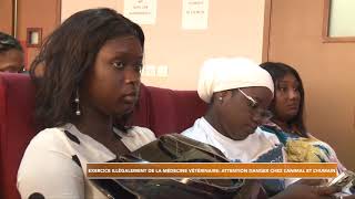 EXERCICE ILLEGAL DE LA MEDECINE VETERINAIRE AU SENEGAL [upl. by Raclima]