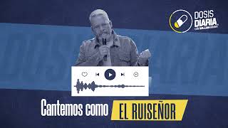 Dosis Diaria Roka  Cantemos como el ruiseñor [upl. by Ahsekar]