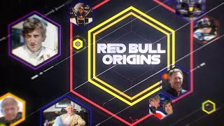 F1 Origins  The Story Of Red Bull Racing [upl. by Henrion963]