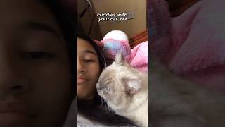 I would rather have cuddles with my cat rather than my bf cat catsofyoutube fypyoutube ragdolls [upl. by Allemaj]