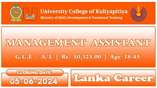 Management Assistant Job Vacancies 2024 University College Of Kuliyapitiya [upl. by Llerryt]