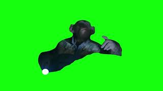 Oh No Planet of the Apes Meme Green Screen [upl. by Orual914]