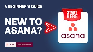 Asana for Beginners ✅ Key Terms You Need to Know to Get Started [upl. by Brendin]