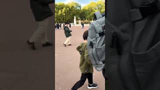 Buckingham palace uk europe viralvideo [upl. by Nitsej585]