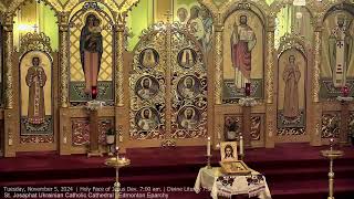 Tuesday November 5 2024  Holy Face of Jesus Dev 700 am  Divine Liturgy 730 am [upl. by Saberio87]