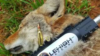 Lehigh Defense 62 Grain Controlled Chaos Copper 22 Nosler Review With Coyote Kill [upl. by Aicilla]