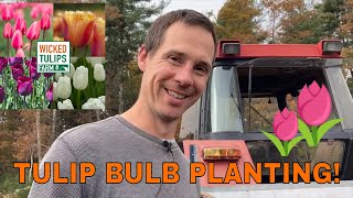 Tulip Bulb Planting Palooza for Spring 2022  Wicked Tulips [upl. by Alyss]