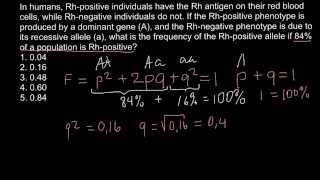 Rhesus factor and allele frequency [upl. by Lanaj315]