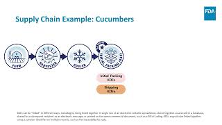 How the Food Traceability Rule works Produce Supply Chain Example [upl. by Brooke]