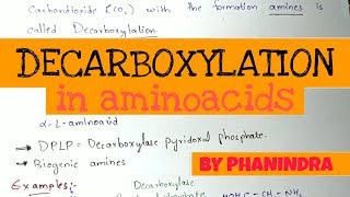 Decarboxylation of Aminoacids  Aminoacids metabolism [upl. by Marshall]