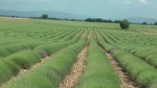 Valensole to Manosque in Provence France [upl. by Barsky]