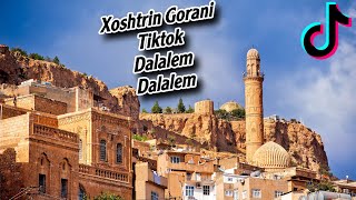 ‎‏diyarbekir yoluna  لەڕێگای دیاربەکر xoshtrin gorani TikTok [upl. by Eixid612]