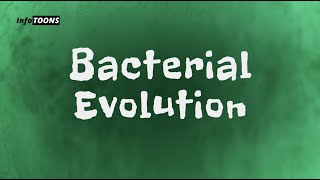 Bacterial Evolution [upl. by Zedekiah]