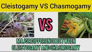 Major Difference between cleistogamy and Chasmogamy  neet cbse [upl. by Adabel907]