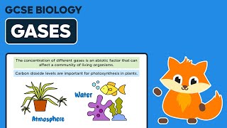 Abiotic Factors Soil Gases  GCSE Biology [upl. by Enovaj]