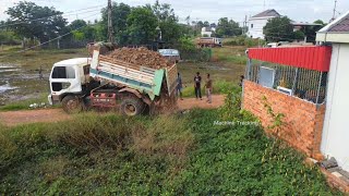 start New Project Small Landfill by Dump Truck Uploading Soil with Dozer Push Soil in Flooded area [upl. by Janaya]