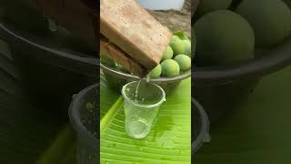 Special Way Of Squeezing Green Plum Juice [upl. by Acenes]