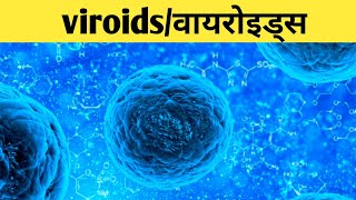 viroids in hindi viroids disease structure of viroidsviroids potato disease [upl. by Ahsiki]