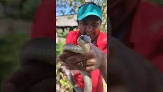 Bagamoyo snake park [upl. by Eenwahs]