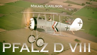 Mikael Carlson Pfalz D VIII Long filmversion Jesper Rådegård Aviation Video [upl. by Newnorb76]