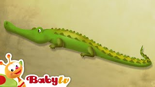 Crocodile 🐊​  Riddle Games With Animals  Animal for Kids BabyTV [upl. by Tnafni]