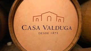 VISITA A CASA VALDUGA [upl. by Pippy364]