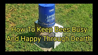 How To Keep Bees Busy And Happy Through Dearth [upl. by Allimrac]