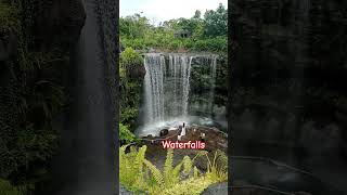 The Waterfalls At Bird Paradise shorts youtubeshorts viralvideo [upl. by Aidua644]