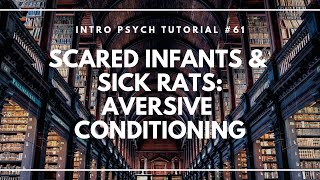 Scared Infants and Sick Rats Aversive Conditioning Intro Psych Tutorial 61 [upl. by Akvir]