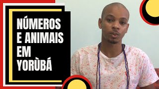 Aula de Yorùbá  Números e Animais na Língua Yorùbá  Òǹkà Ẹranko ni Èdè Yorùbá [upl. by Acinorav]