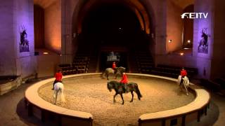 FEI Equestrian Snapshots  Living Horse Museum [upl. by Itnahsa]