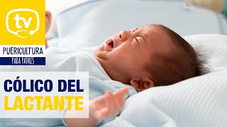 Cólico del lactante ¡cómo hacer que el niño deje de llorar [upl. by Aham]