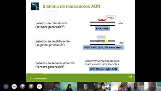 Marcadores de Microsatélites [upl. by Elmo]