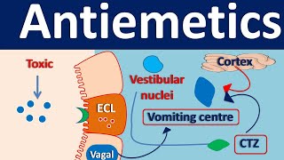 Antiemetics [upl. by Lyrac187]