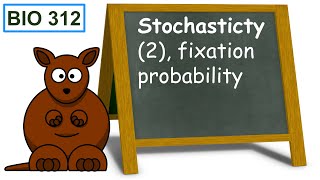 Stochasticity 2 fixation probability [upl. by Renado]