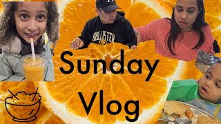 Exploring South Indian Cuisine and Shopping at Costco  Sunday Vlog Adventure [upl. by Canning223]