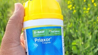 BASF Priaxor Fungicide  Fungicide for Crops  BASF Demo [upl. by Nosreip]