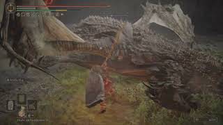 Lesser Magma Wyrm Dragon’s Pit – Solo Melee – Shadow of the Erdtree DLC – Elden Ring [upl. by Yduj305]