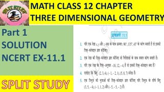 79 Math Class 12Chapter 11Three dimensional GeometryEX111Part 1 [upl. by Mizuki647]