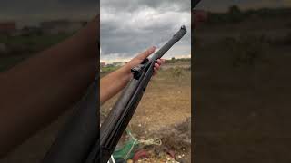 Amazing shoot with airgun birdshunting airgunhunters airgun airgunshooting [upl. by Derfliw]