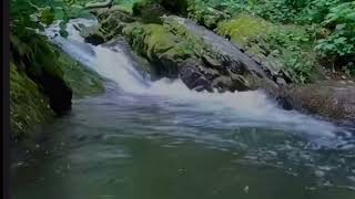 Hermosa cascada 💦💦maravilladelmundo naturalezamagica cascadasmagicas maravillasnaturales [upl. by Verge]