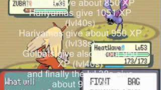 Pokemon Emerald Level Up Guide before the Elite Four  Levels 4060 [upl. by Poppas]