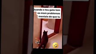 Quando o teu gato tem o mesmo problema mental do que tu 😅😅😅😅😅😅😅😅 [upl. by Corvese]