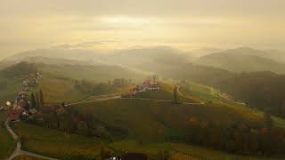 Weinberge im Nebel 7 11 2024 [upl. by Radborne]