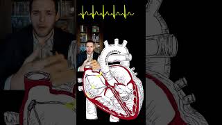 Sinus Tachycardia Animation and ECG shorts cardiology medical [upl. by Firmin]