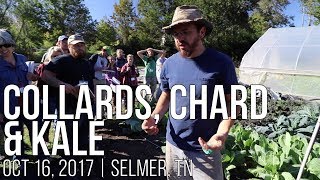 Leafy Wonder Trio Tips amp Tricks for Growing Collards Chard amp Kale [upl. by Zoltai]