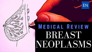 Breast neoplasm pathology breast cancer classification and types of benign breast lesions [upl. by Ybor]