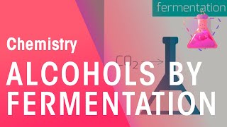 Making Alcohols By Fermentation amp From Ethane  Organic Chemistry  Chemistry  FuseSchool [upl. by Eerok]