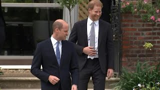 William amp Harry arrive together for Diana statue unveiling  AFP [upl. by Duwalt]