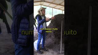 🍄 Como Desenvolver Um Novo Negócio Na Propriedade Rural cogumelos agro empreendedorismorural [upl. by Eustasius749]